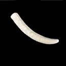 10” White Decoration Piece with Ganesh